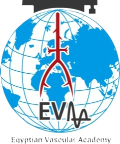 Egyptian Vascular Academy